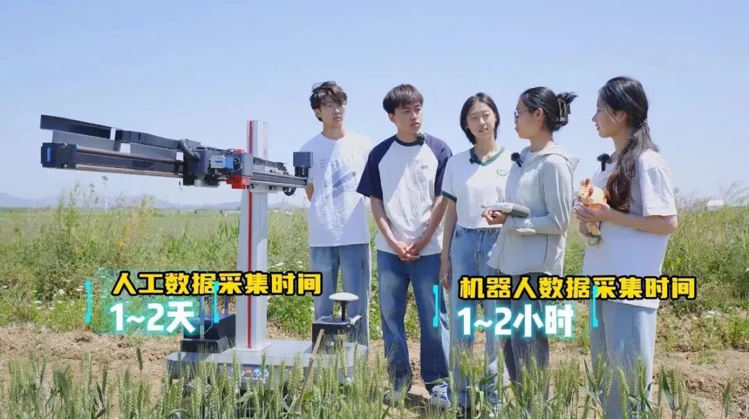 【大國(guó)糧策】“鋤禾日當(dāng)午”遇上“代碼田間舞”！南農(nóng)AI農(nóng)場(chǎng)主帶你“云”種地